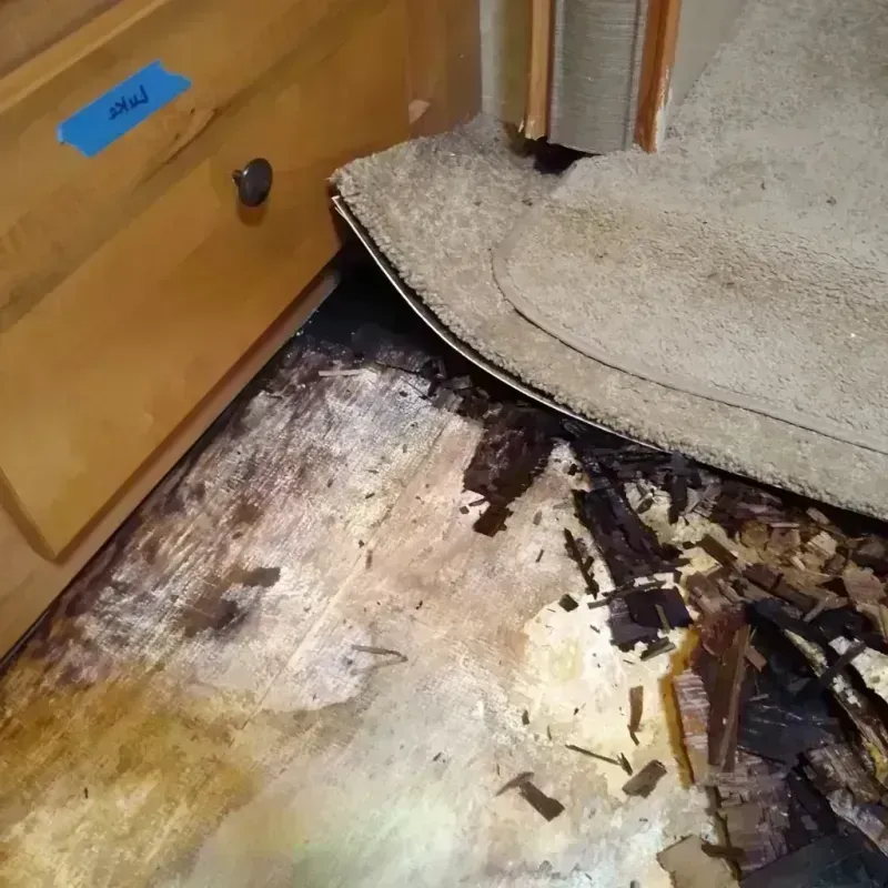 Best Wood Floor Water Damage Service in New Hempstead, NY